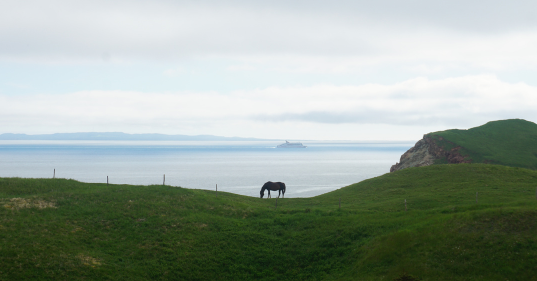 Voyager aux Îles-de-la-Madeleine : comment s'y rendre et quelles options de transport choisir